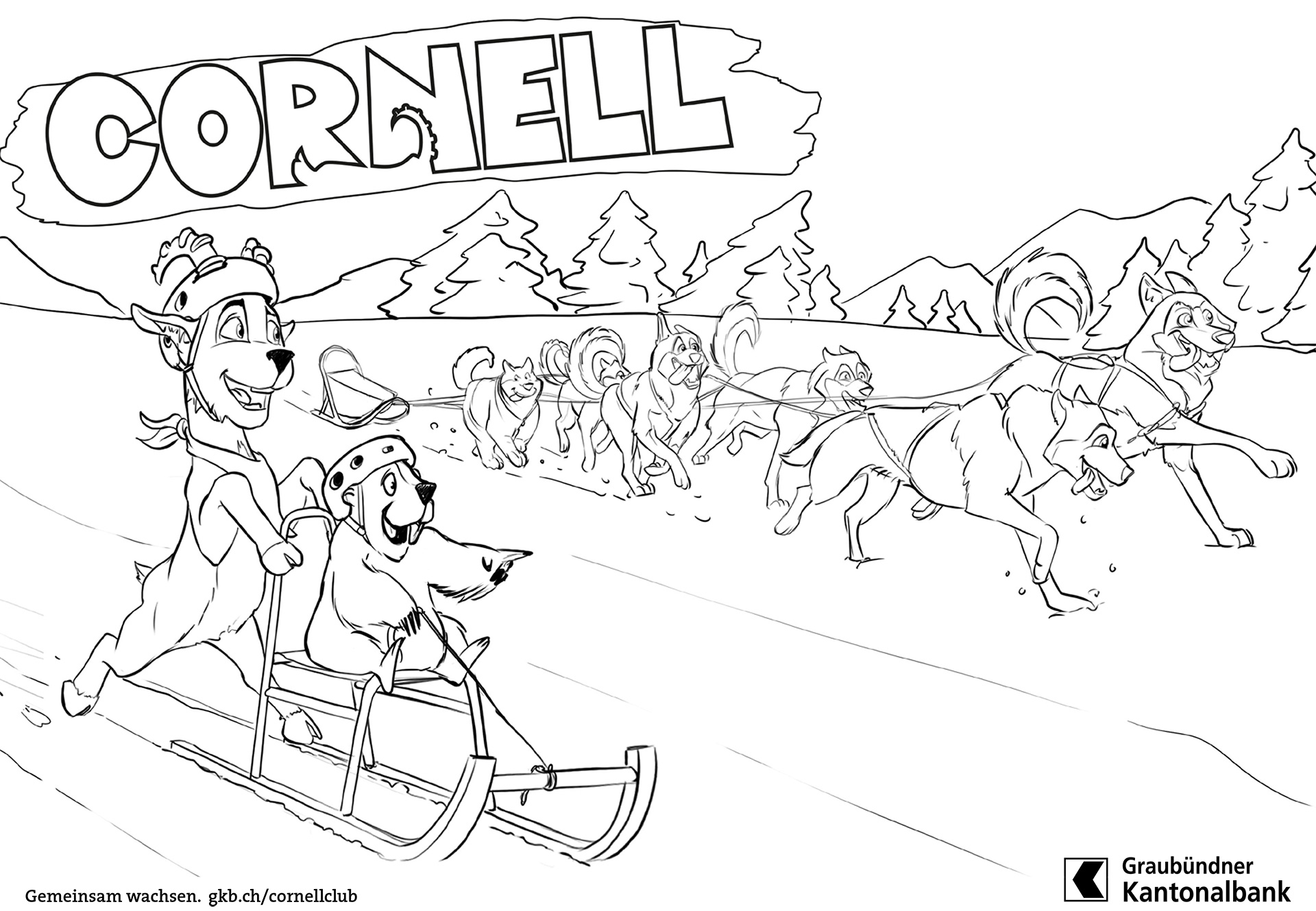 Cornell und der Huskyschlitten
