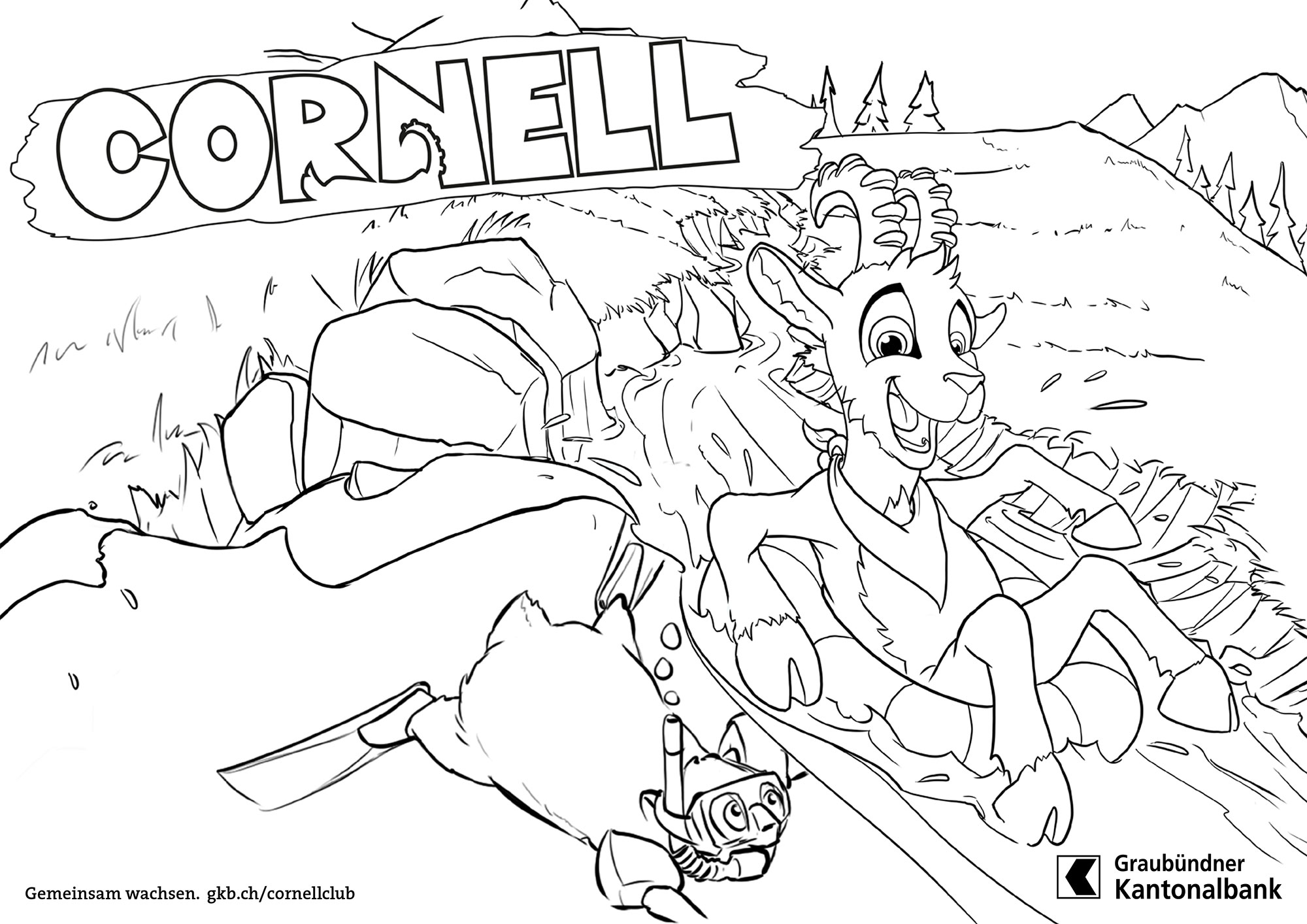 Cornell und der Huskyschlitten